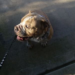 Meet your Posher, Raul